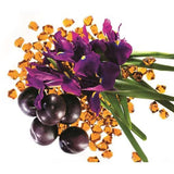 Marc Jacobs Decadence Eau de Parfum 100ml - Savvy Steals