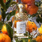 Guerlain Aqua Allegoria Mandarine Basilic Eau de Toilette 75ml surrounded by fresh mandarins and basil leaves, highlighting its citrus aromatic essence.