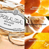 Prada Les Infusions de Mandarine Eau de Parfum 100ml – Vibrant Citrus Elegance - Savvy Steals