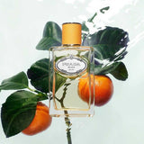 Prada Les Infusions de Mandarine Eau de Parfum 100ml – Vibrant Citrus Elegance - Savvy Steals