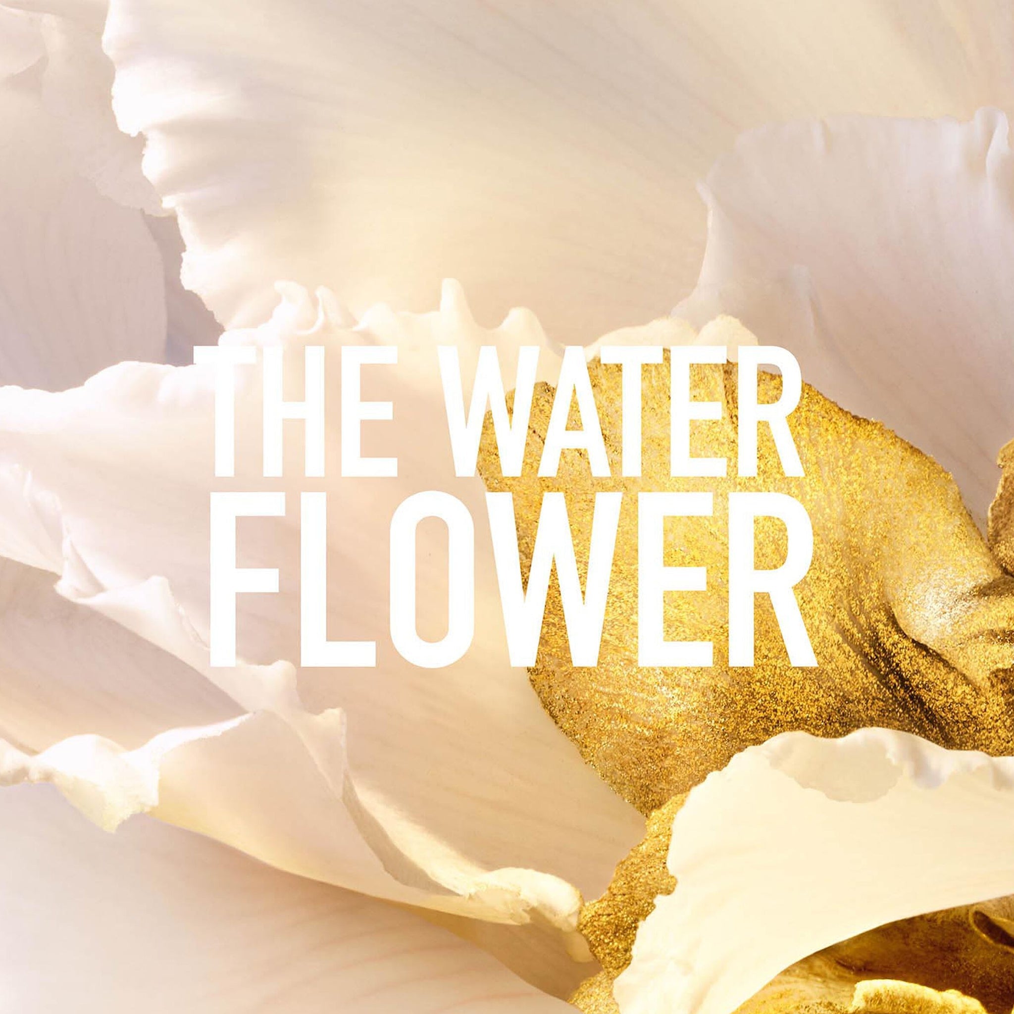 Dior J'adore Parfum D’Eau 100ML – Alcohol-Free Eau de Parfum - Savvy Steals