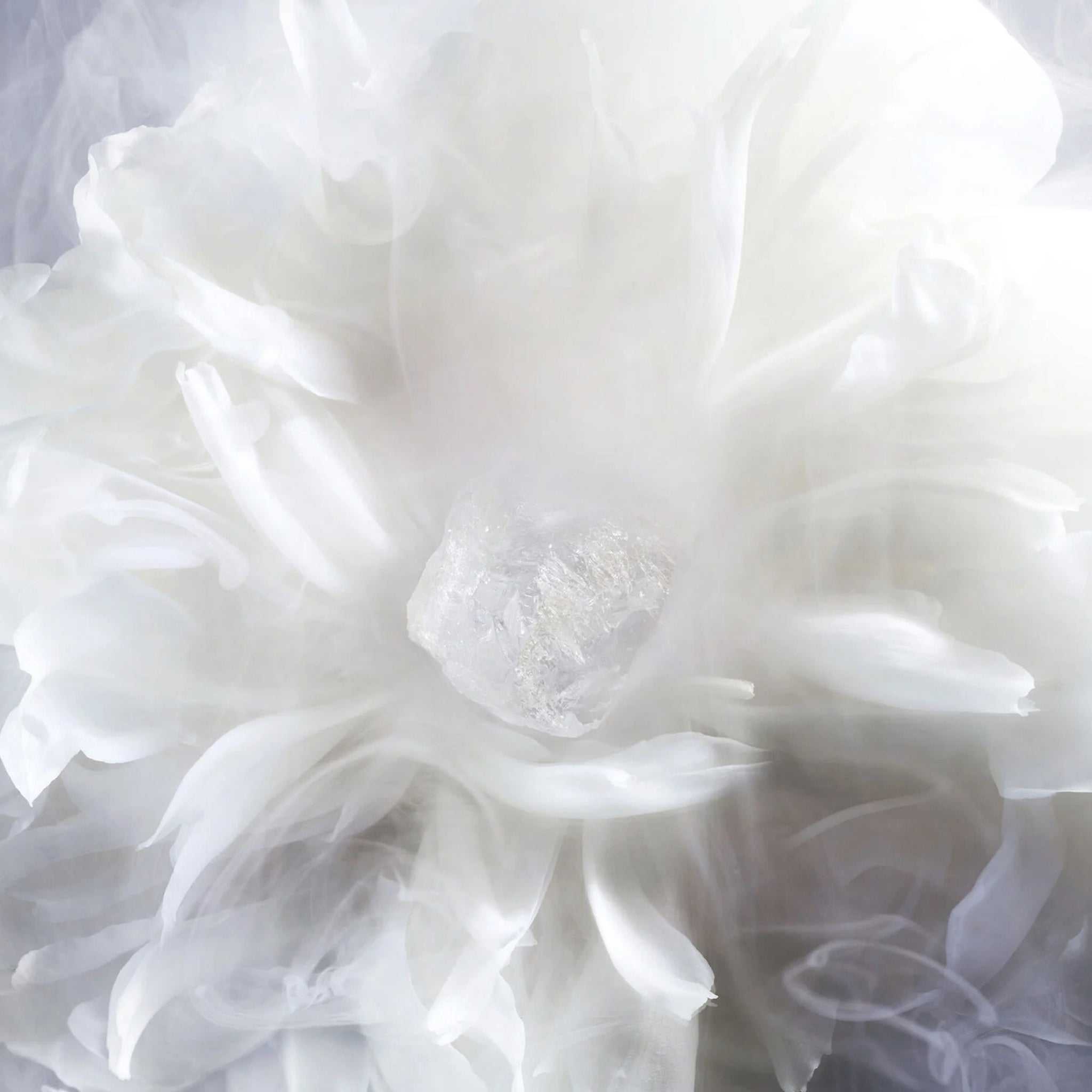 Abstract white floral petals with a crystal center, representing the refined floral amber notes of New Look by Dior Eau de Parfum.