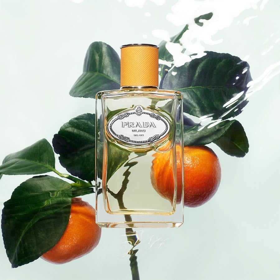 Prada Les Infusions de Mandarine Eau de Parfum 100ml – Vibrant Citrus Elegance - Savvy Steals