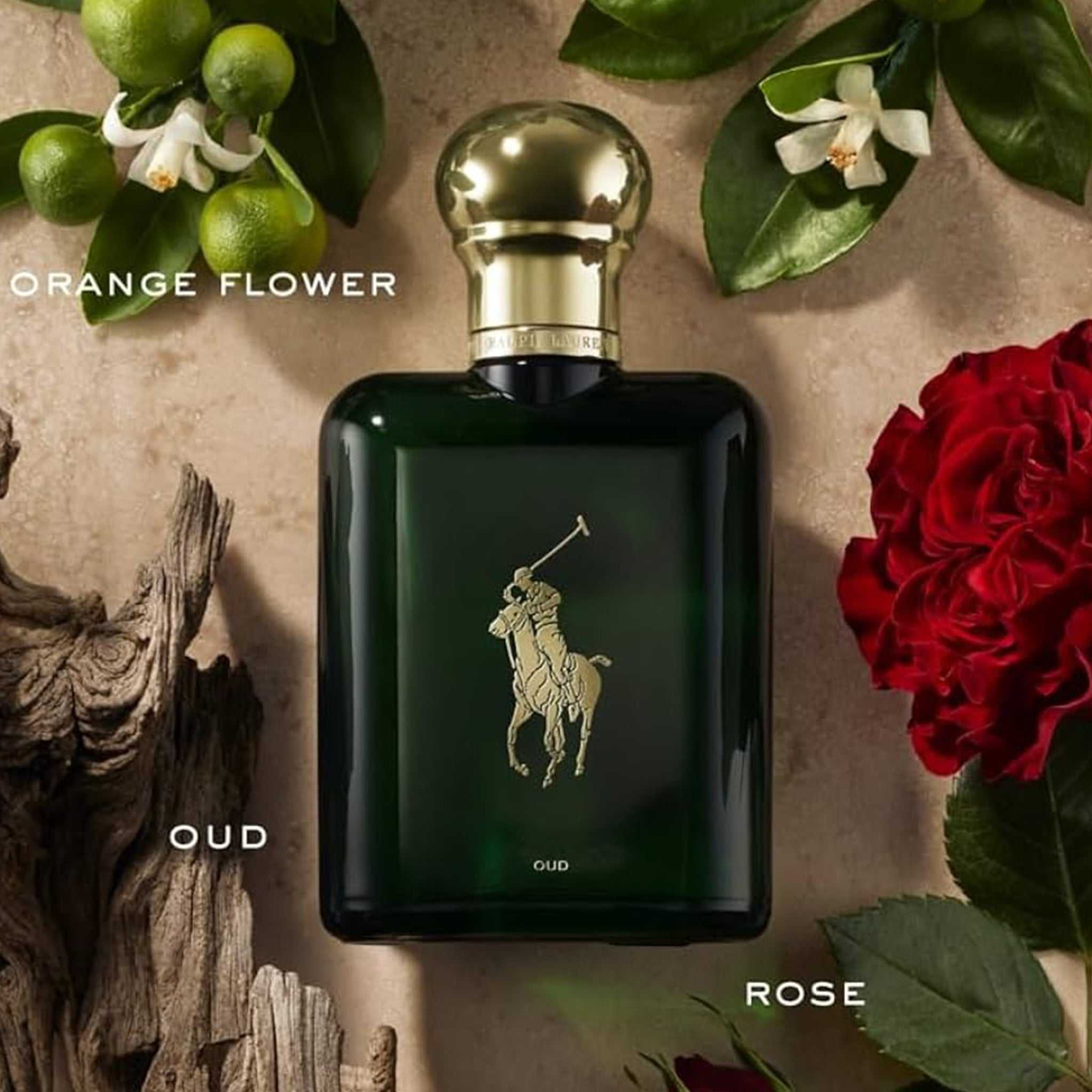 Ralph Lauren Polo Oud Eau de Parfum 125ml surrounded by key notes of orange flower, oud, and rose, highlighting its intense woody-amber profile.